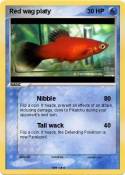 Red wag platy