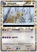 caring paw