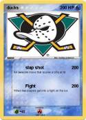 ducks