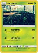 the plants