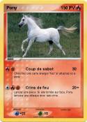 Pony