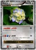 fleuria