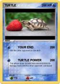 TURTLE