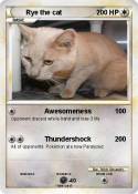 Rye the cat