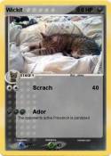 Wickit