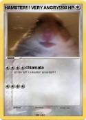HAMSTER!!! VERY
