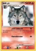 wolf