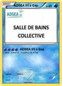 ADSEA 05 à Gap