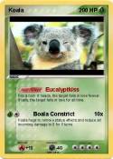 Koala
