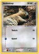 Smiliesleep