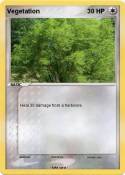 Vegetation