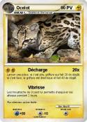 Ocelot