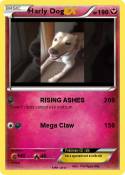 Harly Dog