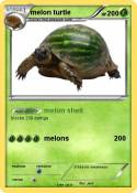 melon turtle