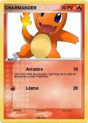 CHARMANDER