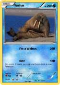 Walrus