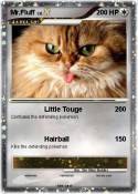 Mr.Fluff