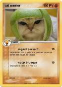 cat warrior