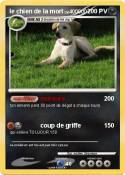 le chien de la