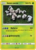 Bebés panda
