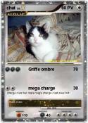 chat