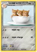 CLONE KITTY