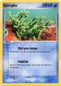 Spongilla