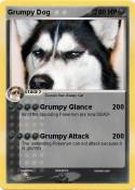 Grumpy Dog