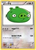 pig