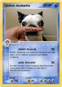 boston mustache