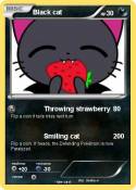 Black cat