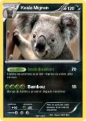 Koala Mignon