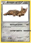 Serengeti cat