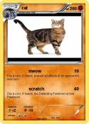 cat