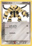 bowser niv:x