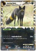 noctachien