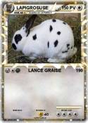LAPIGROSUSE