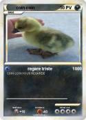 coin coin
