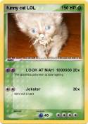 funny cat LOL