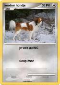 kooiker hondje