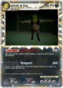 shrek le fou