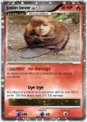justin bever