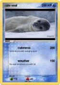 cute seal