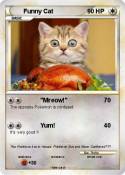 Funny Cat