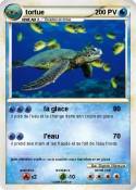 tortue