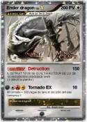 Ender dragon