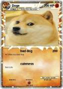 Doge