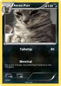 Aeron Purr