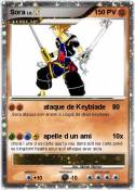 Sora