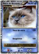 Sacre de Birman